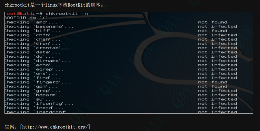 image-20240207103222531