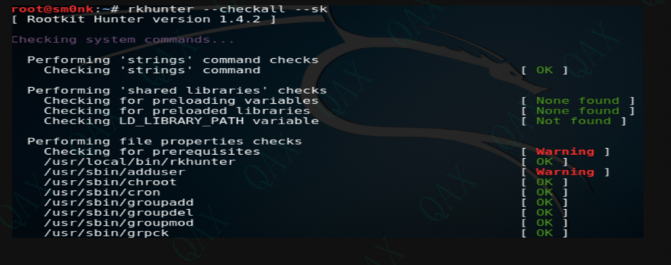 image-20240207103248405